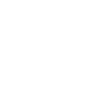 TripForge
